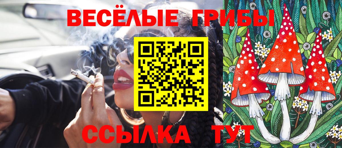 Псилоцибиновые грибы Psilocybine cubensis  Вход с VPN  Сальск 